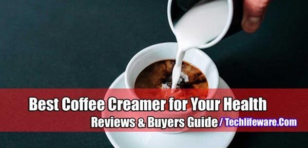 Best Coffee Creamers