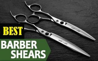 Best Professional Hair Cutting Shears